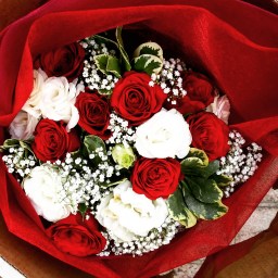 Valentine’s Day 2016